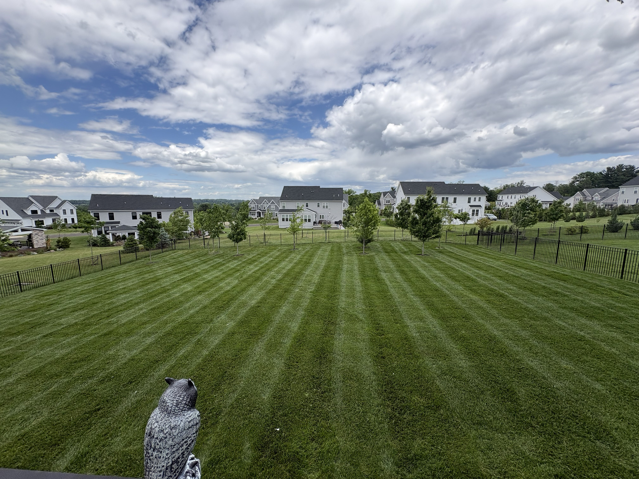 Wide striped green lawn enclosed by a black aluminum fence in a Glenside, PA neighborhood